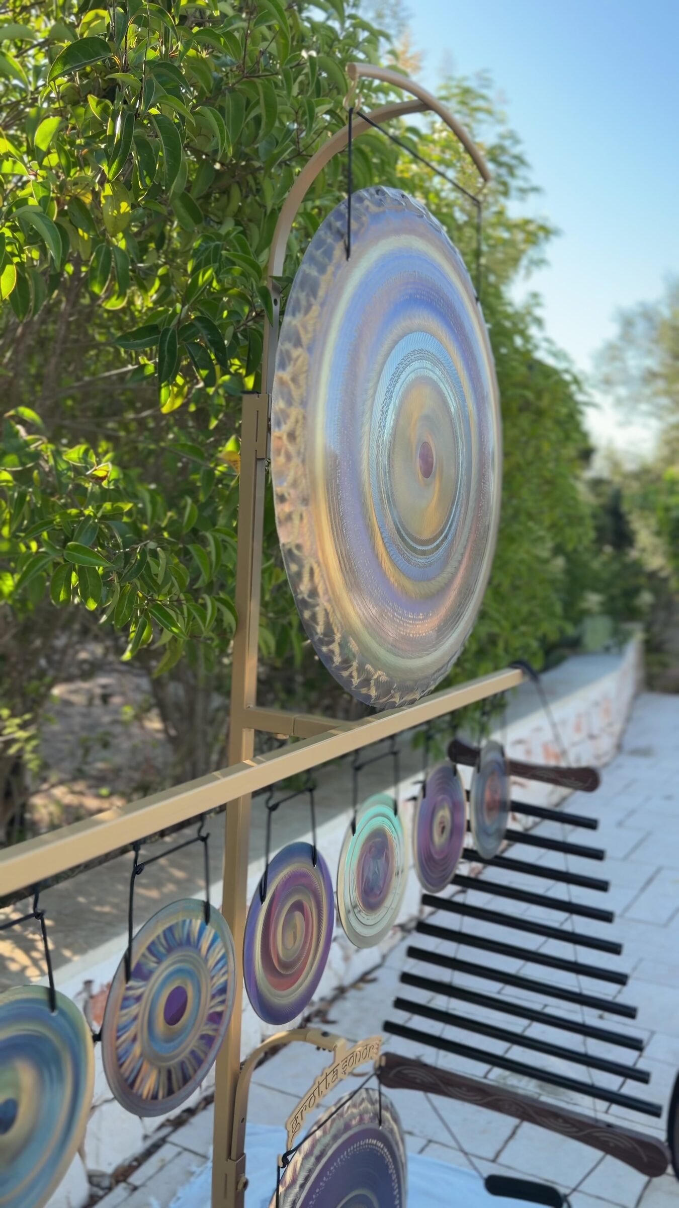 Gong planetario iridescente incorniciato dagli ulivi