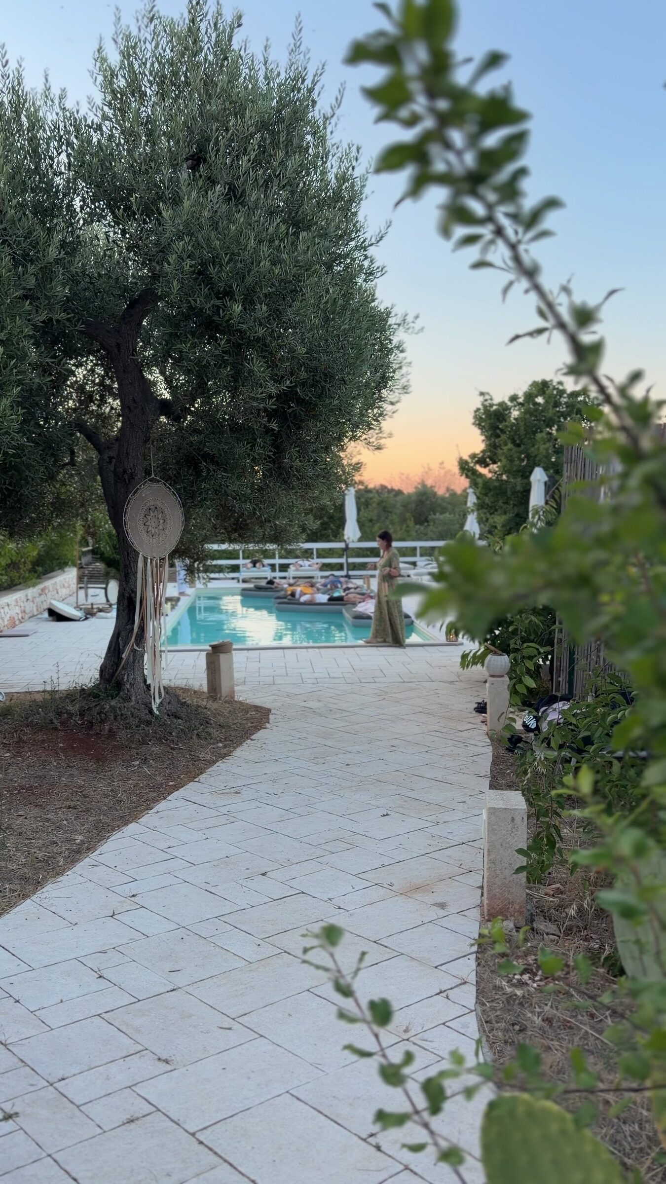 Vialetto tra gli ulivi verso la piscina dei Giardini di Agape al tramonto
